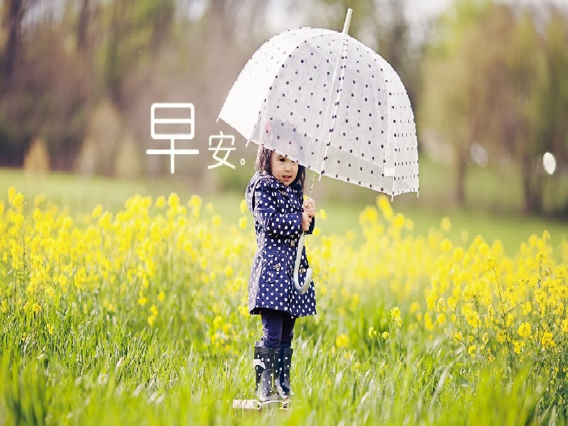 九州医院试管婴儿费用试管移植前电针试管四细胞2